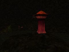 bigshroom3
